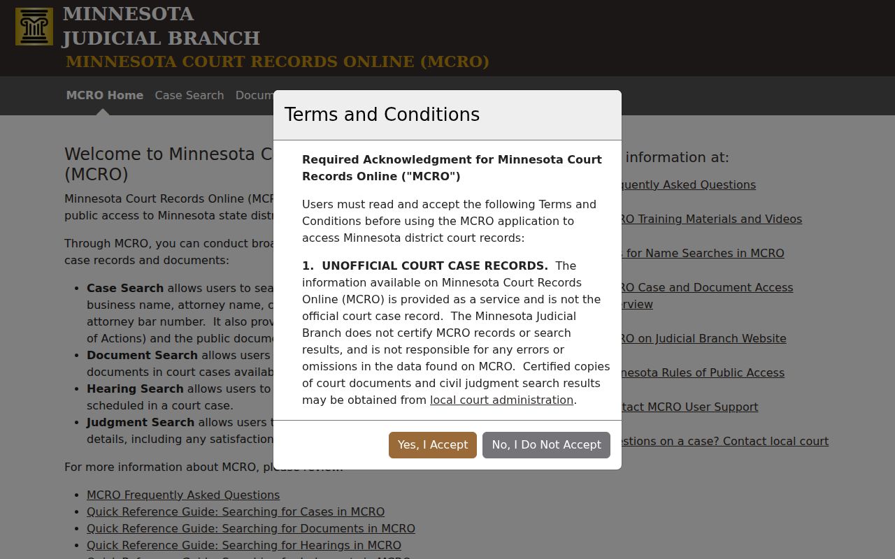 Blank Chisago County warrant records case search form in the Minnesota public access portal